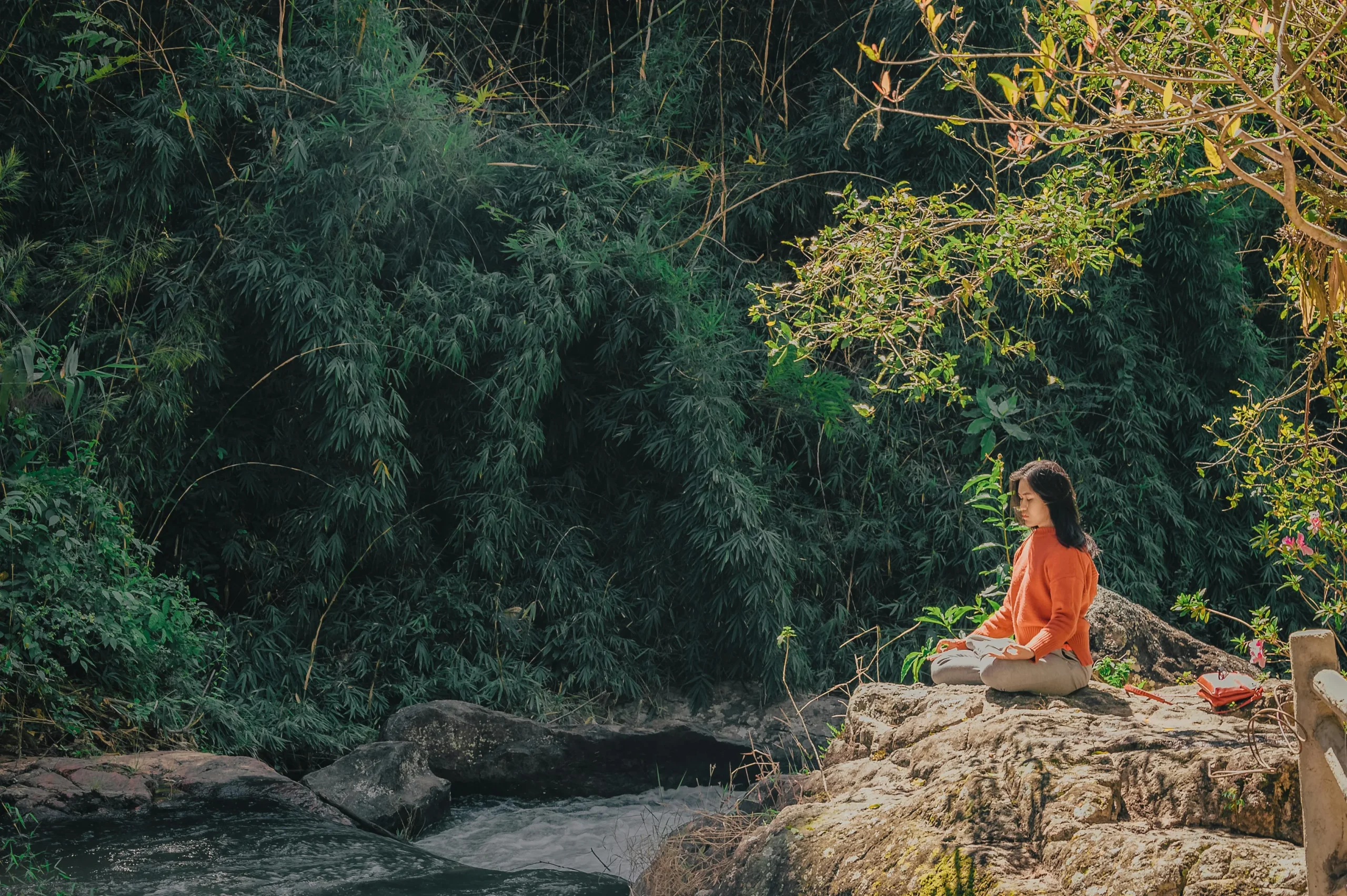 Mindfulness Techniques
